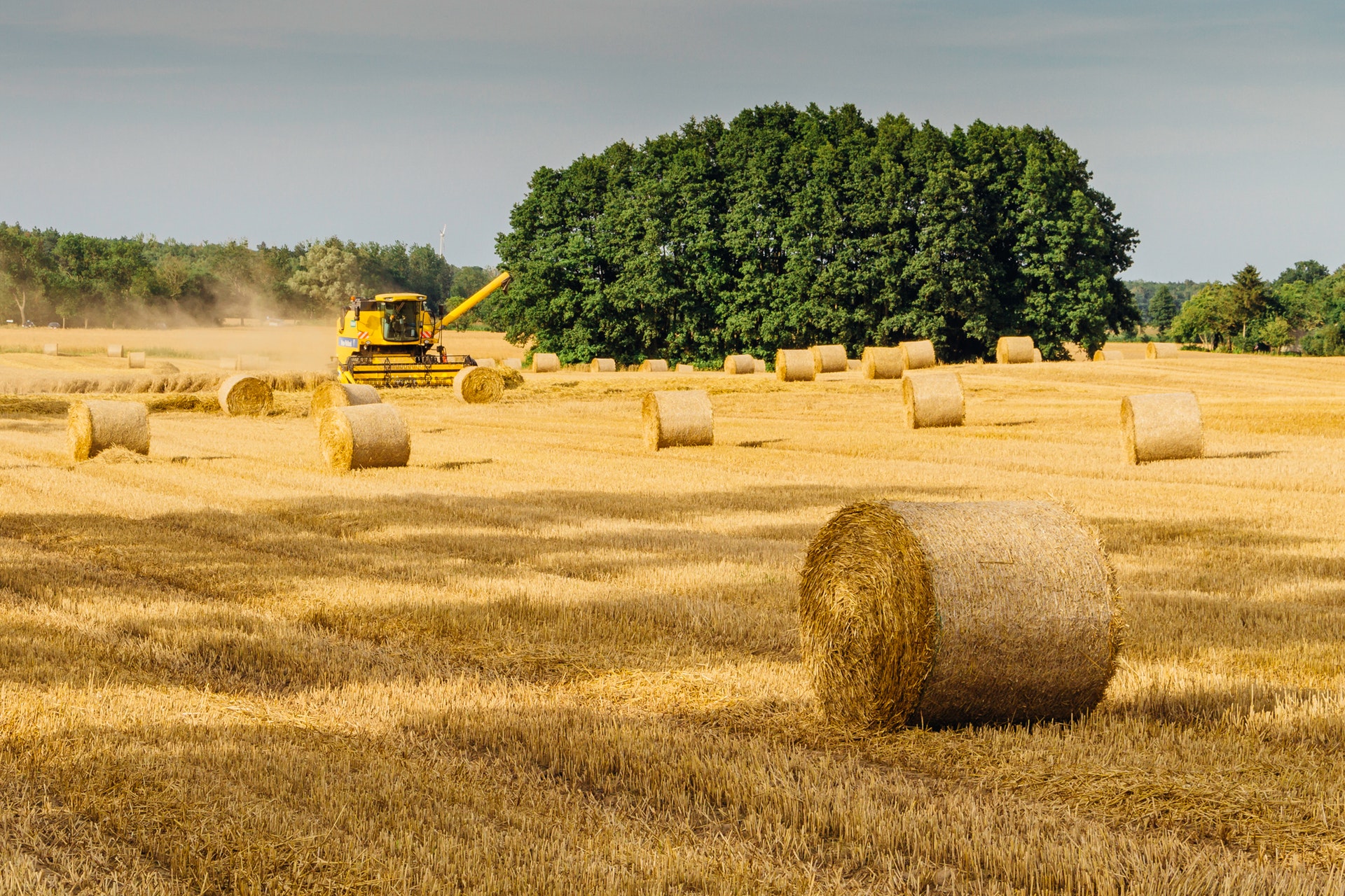 ShapeCUT Pitches in For Aussie Farmers